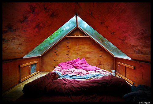 skylight in tiny house loft